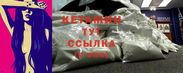 индика Великий Новгород