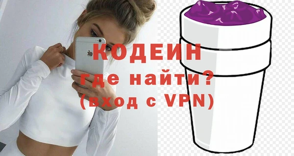 индика Великий Новгород