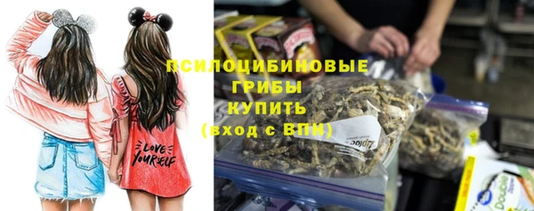 индика Великий Новгород