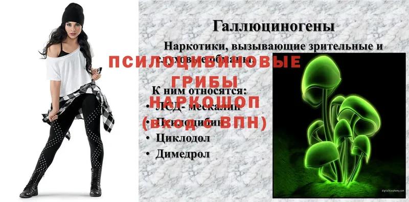 Псилоцибиновые грибы прущие грибы  мега ТОР  Краснодар  наркошоп 